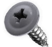 Саморез с прессшайбой Rizzel ПШ 4,2х19, RAL 7016, 1000 шт. 00000320507