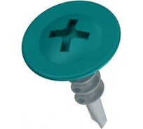 Саморезы ВИРТУОЗ 4,2х16 мм полусферическая головка с прессшайбой сверло, RAL6029, 50 шт 35445