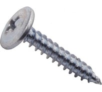 Саморезы ВИРТУОЗ 4,2х32 мм полусферическая головка с прессшайбой, острый 25 шт 02242