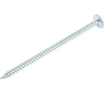 Саморезы ВИРТУОЗ 4,2х76 мм полусферическая головка с прессшайбой, острый, 25 шт 40398