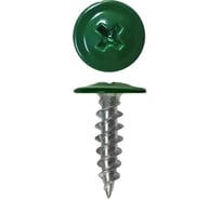 Саморез с прессшайбой Rizzel ПШ 4,2х41 RAL 6005 500 шт 00000317077