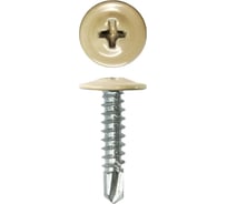 Саморез с прессшайбой Rizzel ПШС 4,2х16 RAL 1014 1000 шт 00000308371