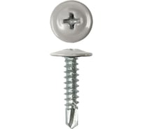 Саморез с прессшайбой Rizzel ПШС 4,2х19 RAL 7004 1000 шт. 00000309307