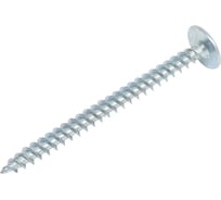 Саморезы ВИРТУОЗ 4,2x51 полусферическая головка с прессшайбой, цинк, острый 100 шт 280-04437