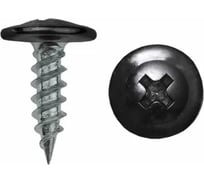 Саморезы ВИРТУОЗ 4,2x19 полусферическая головка с прессшайбой, цинк, острый RAL9005 300 шт 280-05902