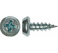 Саморезы ВИРТУОЗ 3,5х 11 мм, полуцилиндрическая головка, острый, цинк 500 шт 280-52926