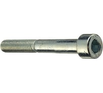 Винты МТК DIN 912 8.8 Zn 1 кг, 5.0x40 115882