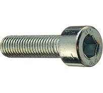 Винты МТК DIN 912 8.8 Zn 1 кг, 5.0x10 115873