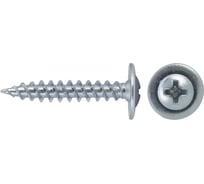 Саморезы с прессшайбой ООО "Тэмпо-Метиз" 4,2x19 острые, оцинкованные, 15 кг 520824