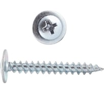 Саморезы с прессшайбой ООО "Тэмпо-Метиз" 4,2x25 острые, оцинкованные, 15 кг 520848