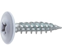 Саморез STARFIX 4.2x19 мм с прессшайбой, цинк, острый, RAL 9003 (50 шт в зип-локе) SMZ1-51232-50