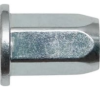 Заклепка с внутренней резьбой Fasty 6-гран., M6 СТ-ЦБ 0311106009AM