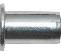 Заклепка с внутренней резьбой Fasty M6 СТ-ЦБ, 250 шт. 0301106009AM