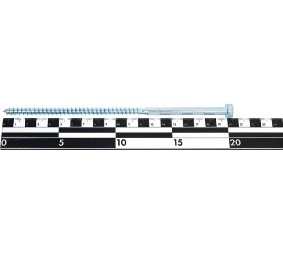 Шуруп Доброга ШГ 8,0x200 цинк 10 шт ТД-00012261