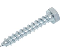 Шуруп Доброга ШГ 8,0x50 цинк 20 шт ЦБ-00020396