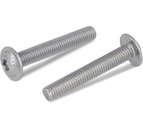 Винт Metiz-A2 ISO 7380-2 M6x25/25 мм, А2 полукруглая головка внутренний шестигранник и пресшайбой, 50 шт. 738022625 50