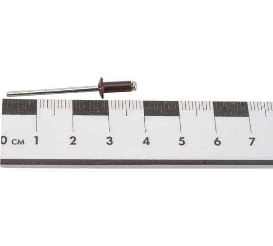 Заклепка вытяжная Госкреп ал./ст. 3,2x8 RAL8017 шоколадный 28 шт. 8-0011850