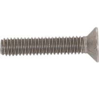 Винт FIXATOP потай. голов., крест. шлиц М4х20 H нерж. сталь A2, DIN 965, блистер, 16 шт 00000088502