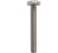 Винт FIXATOP с полукруг г., крест. шлиц, М6х30 H нерж. сталь A2, DIN 7985, блистер, 8 шт. 00000087502