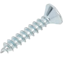 Саморез SORREX DIN7982С 3,5x19 оцинкованный с потайной головкой острый 500 штук 7982C-1-035-019-500