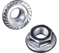 Гайка Доброга с фланцем М6 цинк DIN 6923 2 000 шт. ЦБ-00034779