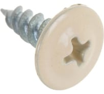 Саморез Доброга ПШ 4,2x16 цинк 1 000 шт. RAL1015 Светлая слоновая кость ТД-00007866
