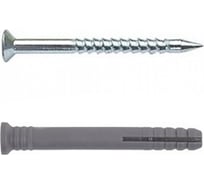 Дюбель с шурупом ВИРТУОЗ 8х60, потайной бортик, 8 шт. 00743