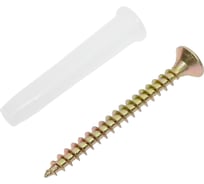 Набор для крепления ВИРТУОЗ дюбель 8x45, шуруп 5x50 потайная головка, желтый цинк, 80 шт. 550-00590