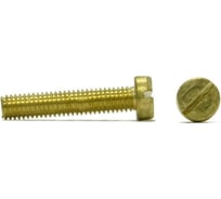 Винт ЦКИ DIN84 М2.5x10 ЛАТ. SL 3.5x0.6 50 шт. 631730733