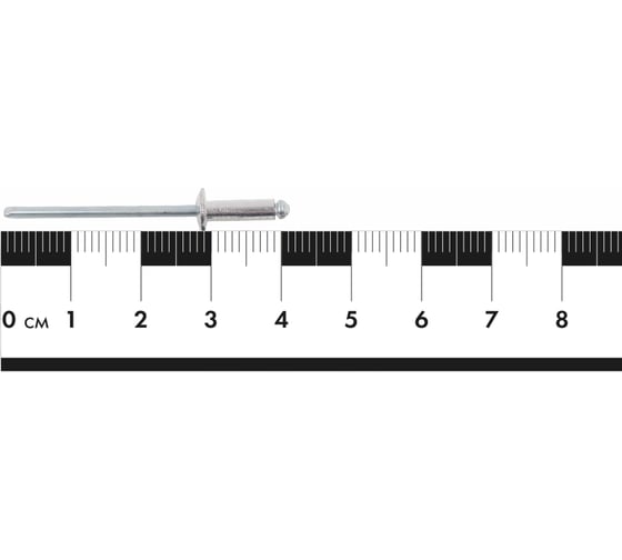 Заклепки вытяжные 3,2x10 100 шт. цинк Gigant 123907