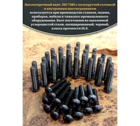 Винт 23 БОЛТА чёрный 5x16 ISO 7380 под шестигранник к.п.10.9, 100 шт. 00-00004438ф100