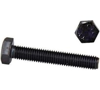 Болт 23 БОЛТА высокопрочный 8x110 мм, DIN933, к.п.12.9,черный 10шт. б1299338110