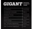 Заклепки вытяжные 4,8x10 100 шт. цинк Gigant 123898 8