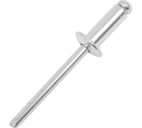 Заклепки вытяжные 4,8x12 100 шт. цинк Gigant 123899