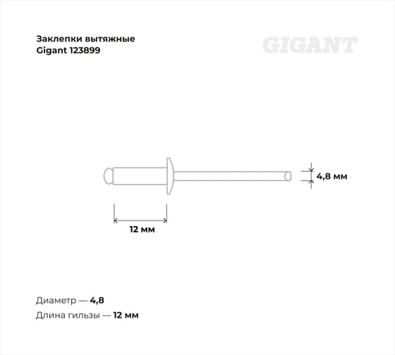 Заклепки вытяжные 4,8x12 100 шт. цинк Gigant 123899