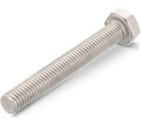 Болт ЦКИ DIN933 М27х120 A4 SW 41, уп. 1 шт. 62745