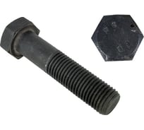 Болт ЦКИ DIN931 М20х140, 10.9 ОКС SW30 уп. 10 шт. 62496