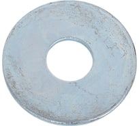 Шайба Евразия DIN 9021 увеличенная (кузовная) M16 гальван. цинк (10 шт) 4687206326682