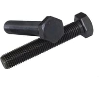 Болт SORREX М22x50 мм с шестигранной головкой по DIN 933 с полной резьбой черный, класс прочности 10.9 (5 штуки) 0933-010-22-050 5