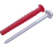 Анкерный дюбель (полиамид) RMG AD DACROMET 10x100, 300 шт. А/Ф-Д-10-100-0300