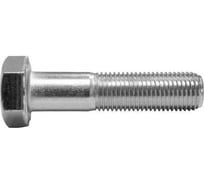 Болт boltnn.ru DIN 960 М16x1,5x55 10.9 цинк 15 шт 4687206324381