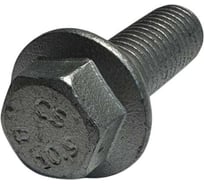 Болт с фланцем boltnn.ru DIN 6921 (EN 1665) М6x20 10.9 цинк-ламель серый 480 часов без насечки 100 шт 4687206324794