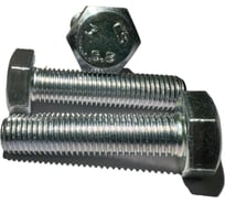 Болт boltnn.ru DIN 961 М8x1,0x45 8.8 цинк 25 шт 4687206324503