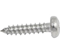 Саморез нержавеющий полукруглая головка 23 БОЛТА 2,9x16 DIN7981, 50 шт шпн2916ф50