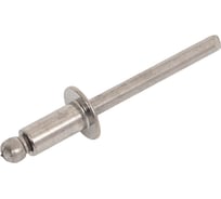 Заклепка вытяжная нержавеющая 23 БОЛТА 4,8x10, 20 шт звн4810ф20