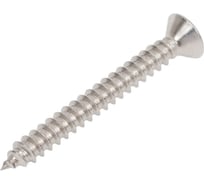 Саморез потайной нержавеющий 23 БОЛТА 2,9x25 РН DIN7982, 20 шт спн2925ф20