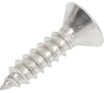 Саморез потайной нержавеющий 23 БОЛТА 4,8x19 РН DIN7982, 20 шт спн4819ф20