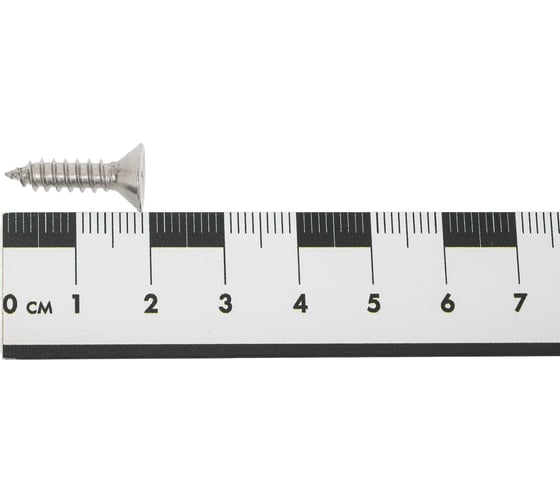 Саморез потайной нержавеющий 23 БОЛТА 4,8x19 РН DIN7982, 20 шт спн4819ф20
