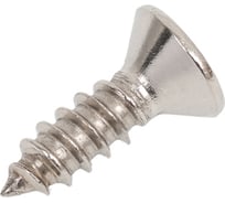 Саморез потайной нержавеющий 23 БОЛТА 3,9x13 РН DIN7982, 20 шт спн3913ф20