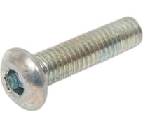 Винт Море-Метизов ISO 7380 класс прочности 10.9 цинк M8x35 мм, 10 шт. VINT7380C109M83510M